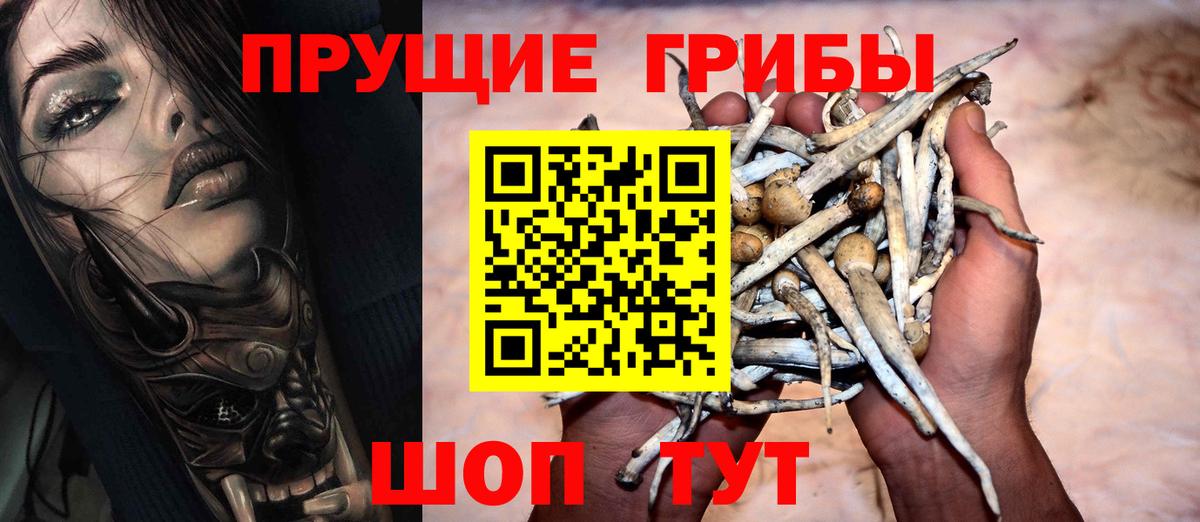Сыктывкар  Псилоцибиновые грибы Psilocybe  Вход с VPN  Псилоцибиновые грибы GOLDEN TEACHER 